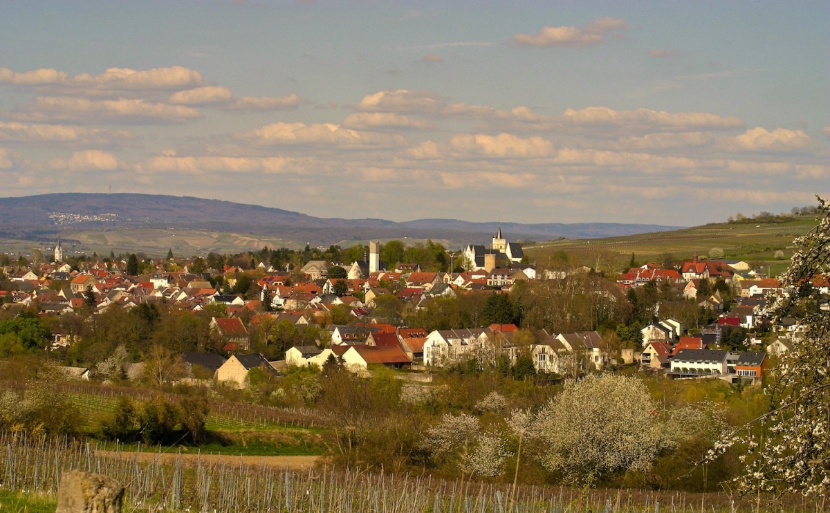 Detektei in Ingelheim am Rhein im Einsatz seit 1995 mit Detektiven in Festanstellung - keine Subunternehmer!