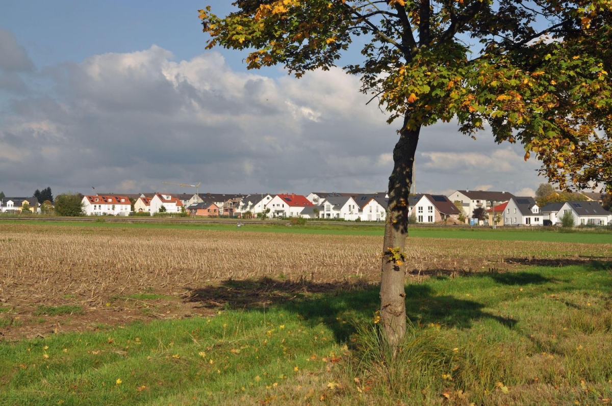 Detektei in Rödermark im Einsatz seit 1995 mit Detektiven in Festanstellung - keine Subunternehmer!